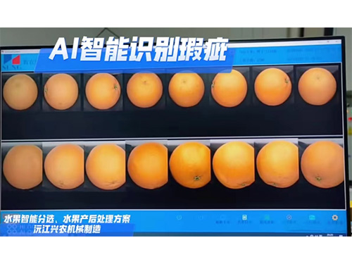 外观品质检测机