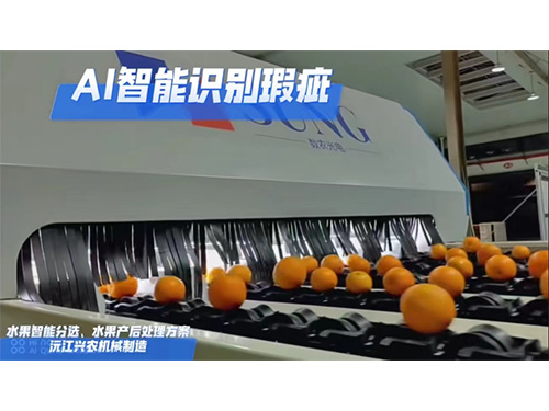 沅江兴农机械制造有限公司,沅江水果分选机,沅江水果清洗机,沅江水果打蜡机哪里好,沅江兴农机